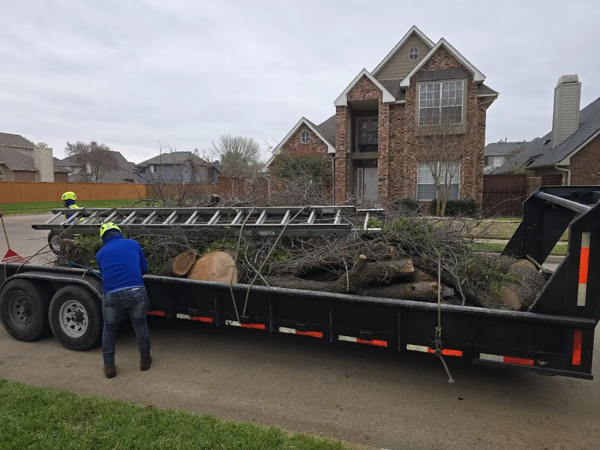 Expert Tree Fertilization with proper safety equipment in Bridgeton